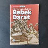 Peluang Usaha beternak Bebek Darat